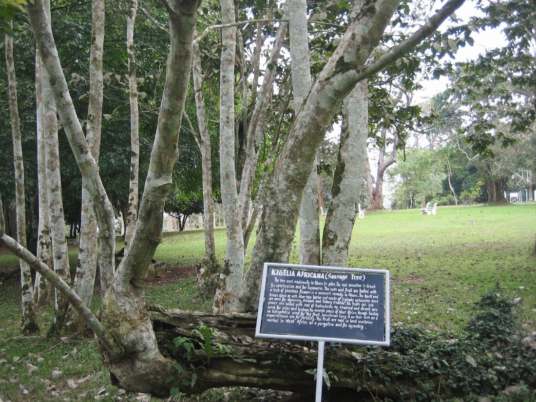 ghana_aburi_botanical_gardens_4.jpg